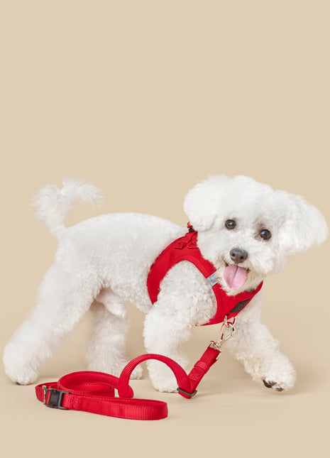 City Dog Leash - Iconic Red