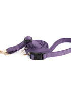 City Dog Leash - Lilac Gray