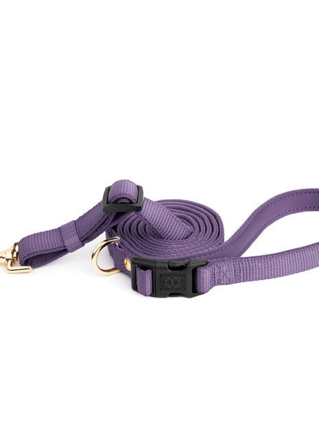City Dog Leash - Lilac Gray