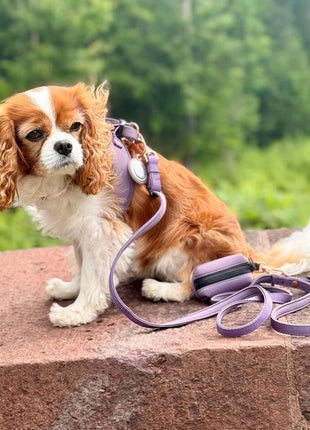 City Dog Leash - Lilac Gray