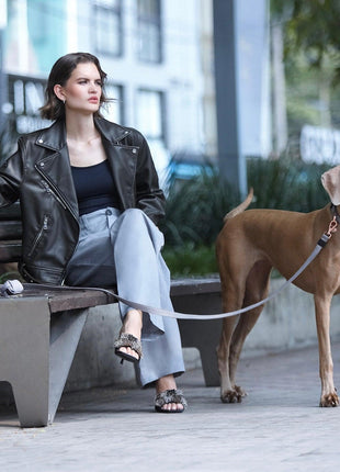 City Dog Leash - Steel