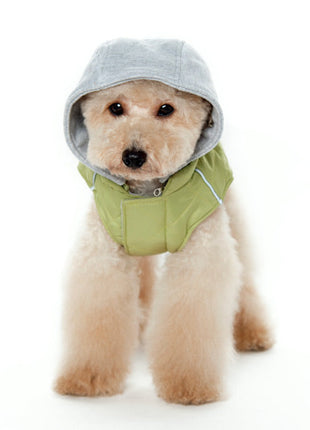 City Puffer Jacket