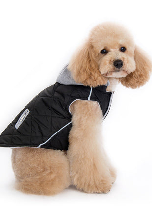 City Puffer Jacket