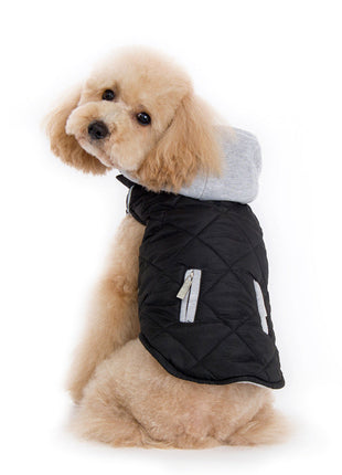 City Puffer Jacket