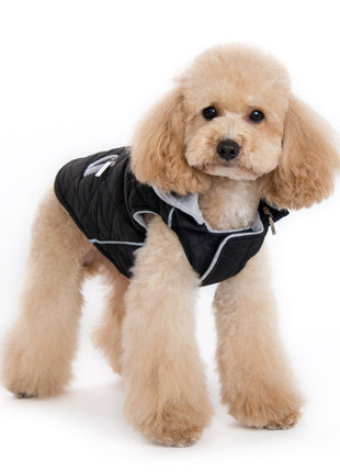 City Puffer Jacket