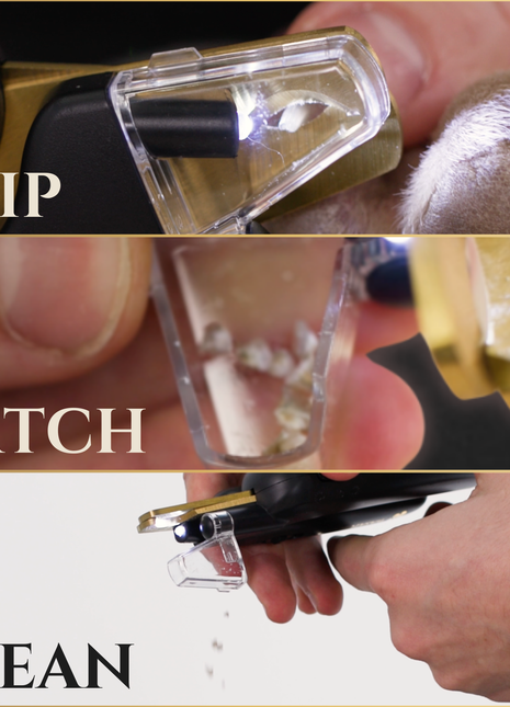 3 in 1 Nail Clippers