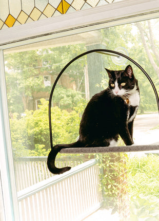 Cloud Nine Window Hammock