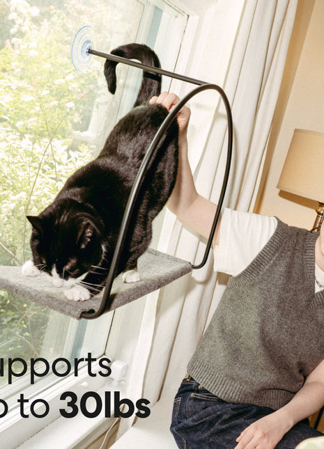 Cloud Nine Window Hammock