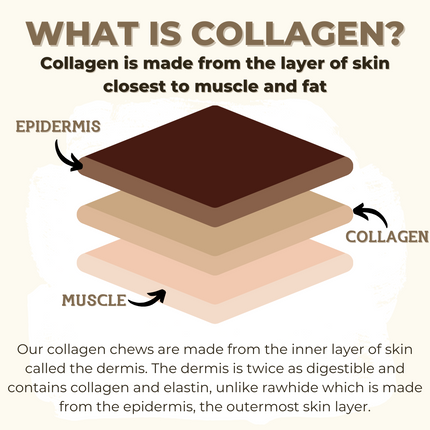 10-12 Inch Collagen Stick