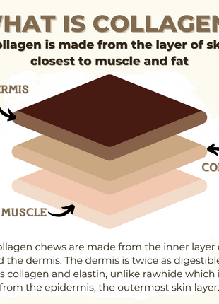 10-12 Inch Large Collagen Stick