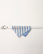 Nooee Pet Collar Daisy