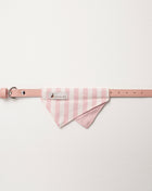 Nooee Pet Collar Daisy