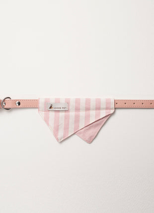 Nooee Pet Collar Daisy