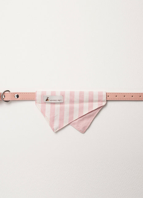 Nooee Pet Collar Daisy