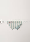 Mint stripe / Small