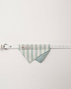 Nooee Pet Collar Daisy