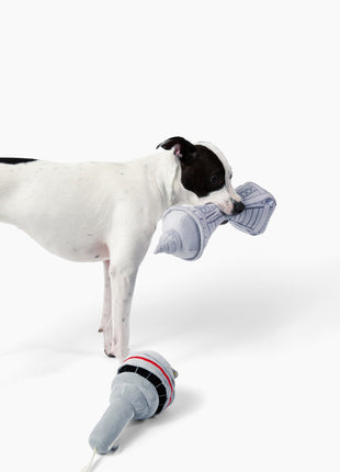 Dog In Seattle Nose Work Dog Toy