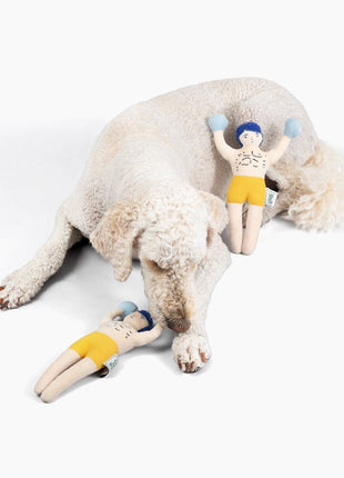 Champ Rocky Nose Work Dog Toy / Enrichment Toy