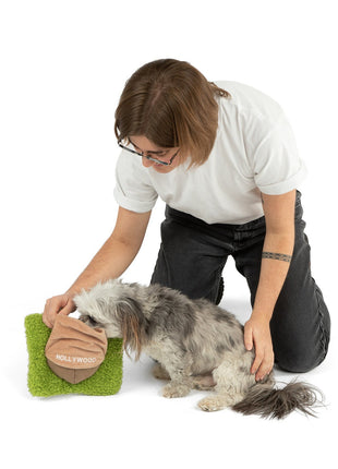 Hollywoof Nose Work Dog Toy