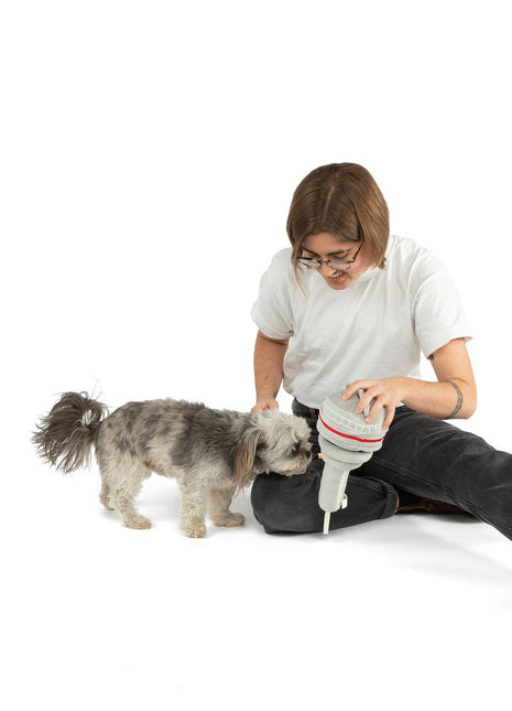 The Six Nose Work Dog Toy