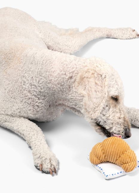 Croissant Nose Work Toy / Enrichment Toy