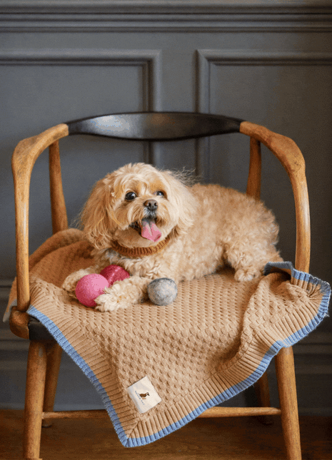 Nooee Pet Wool Toy Ball Set (5 cm)
