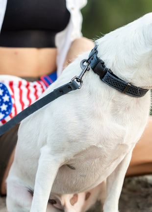 Celtic Sport Blue Jeans Leather Dog Collar
