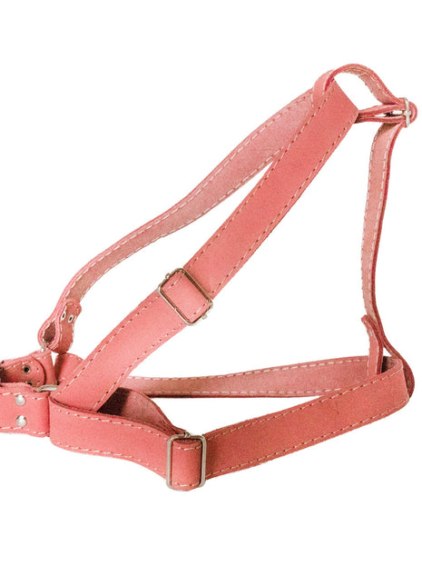 Step In Leather Dog Harness