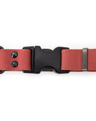 Celtic Sport Coral Reef Leather Dog Collar