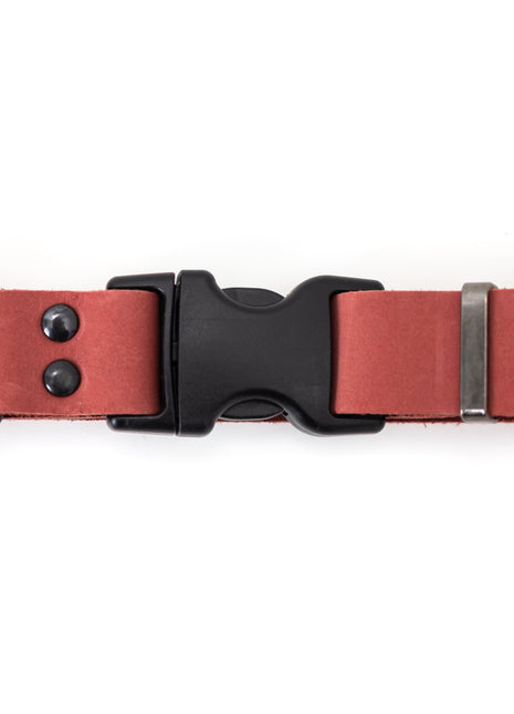 Celtic Sport Coral Reef Leather Dog Collar