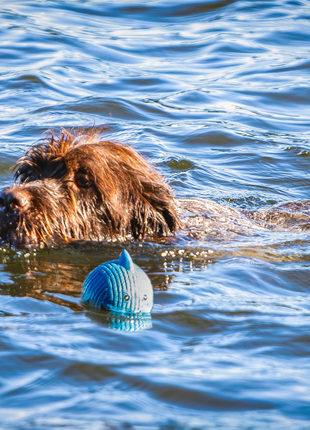 Finn the Shark Ruff-Tex® Latex Ball Dog Toy, Large - Pup List