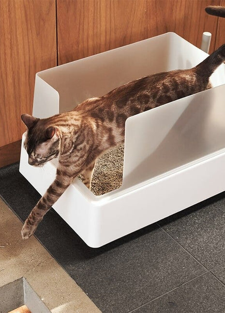Cove Litter Box