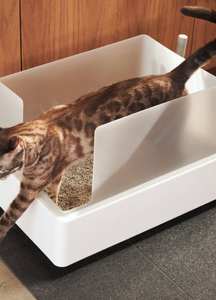 Cove Litter Box