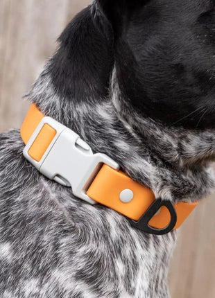 Crimson Glow Waterproof Dog Collar