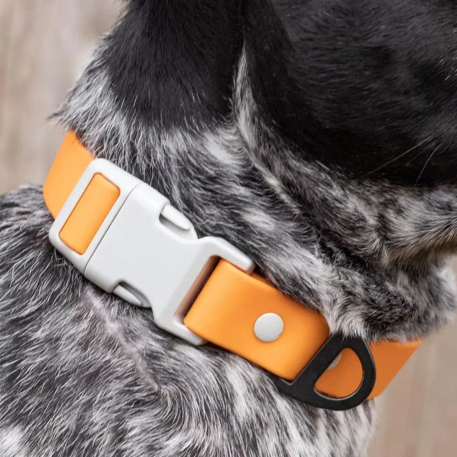 Crimson Glow Waterproof Dog Collar