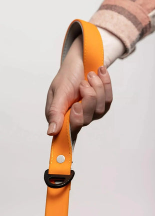 Crimson Glow Waterproof Dog Leash