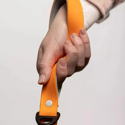 Crimson Glow Waterproof Dog Leash