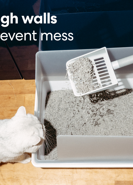 Cubby Litter Box