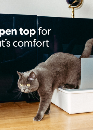 Cubby Litter Box