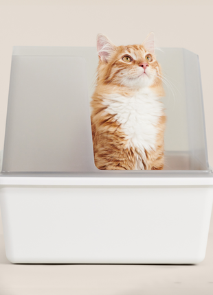 Cubby Litter Box