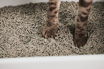Tuft + Paw Cubby Litter Box