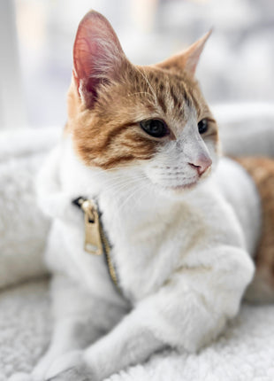 Furi Pet Coat - Bone