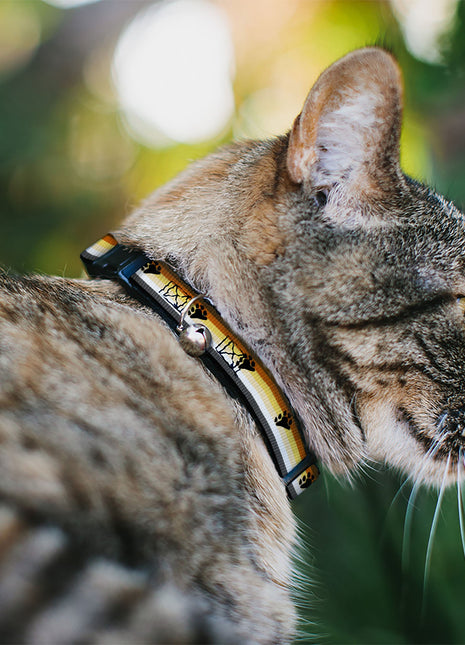 Breakaway Cat Collar with Bell - Flag Bear Pride2 Black/Brown/Orange/Yellow/Tan/White/Gray/Black