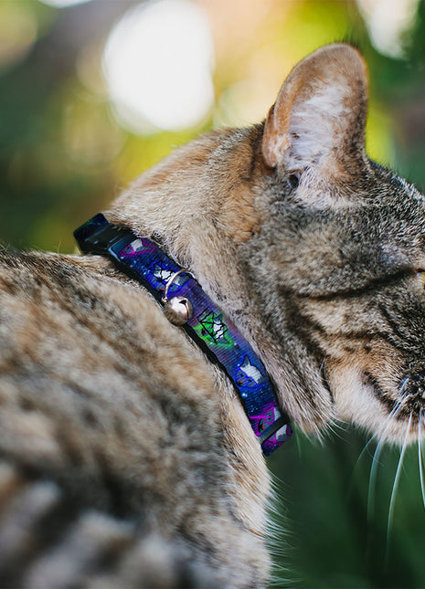 Cat Collar Breakaway - Laser Eye Cats in Space