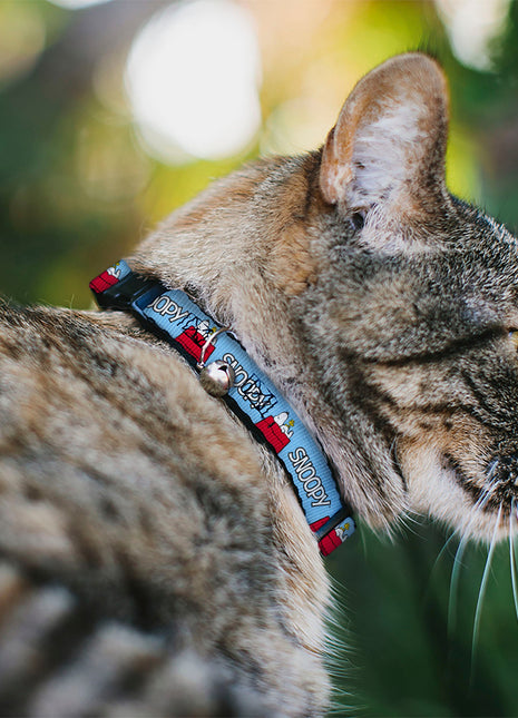 Breakaway Cat Collar with Bell - Peanuts Snoopy and Woodstock Dog House Pose and Text Sky Blue