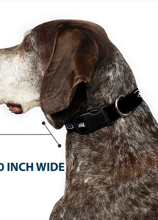 Plastic Clip Collar - DISNEY PRIDE Signature Logo Black/White/Rainbow