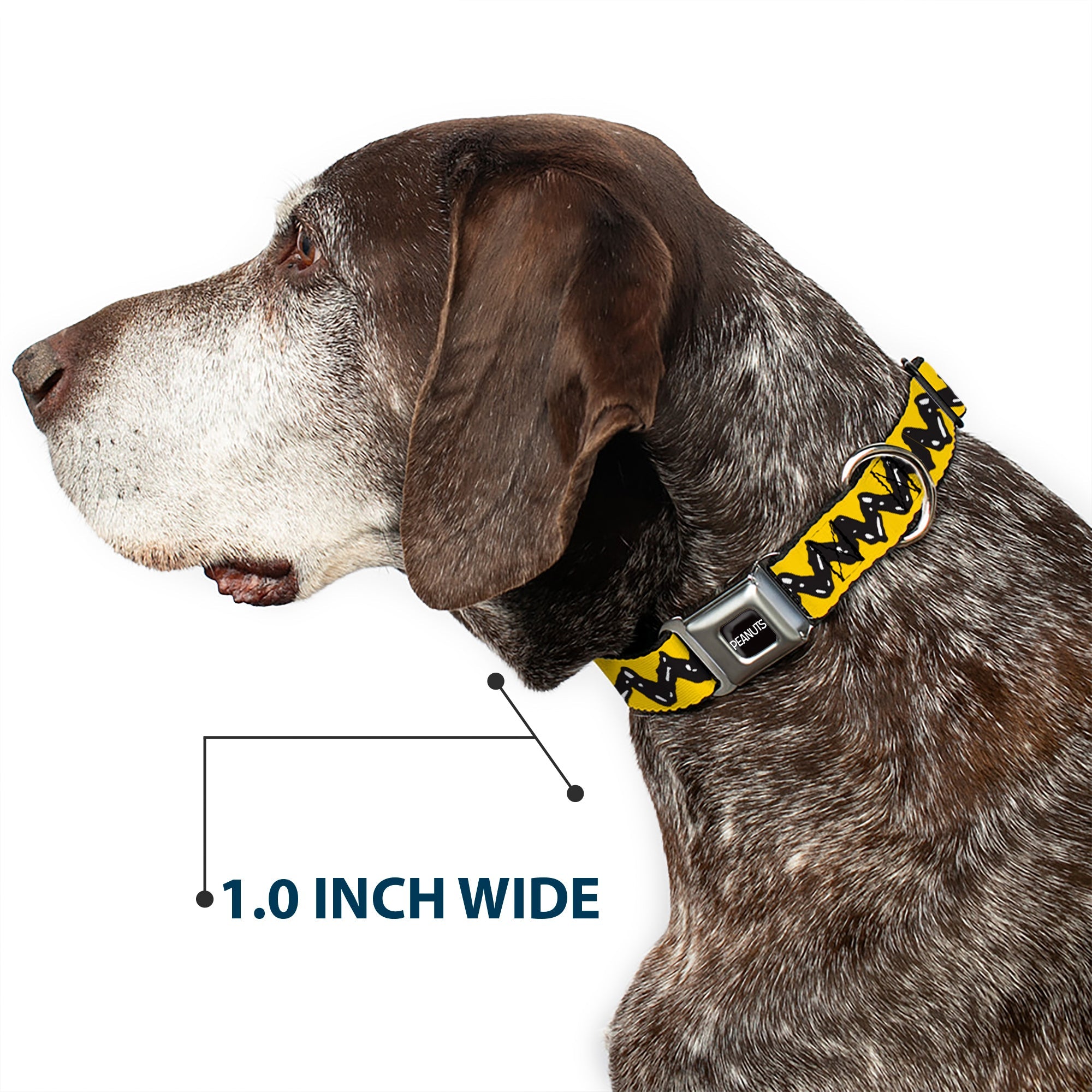 PEANUTS Title Logo Full Color Black/White Seatbelt Buckle Collar - Peanuts Charlie Brown Zig Zag Stripe Yellow/Black