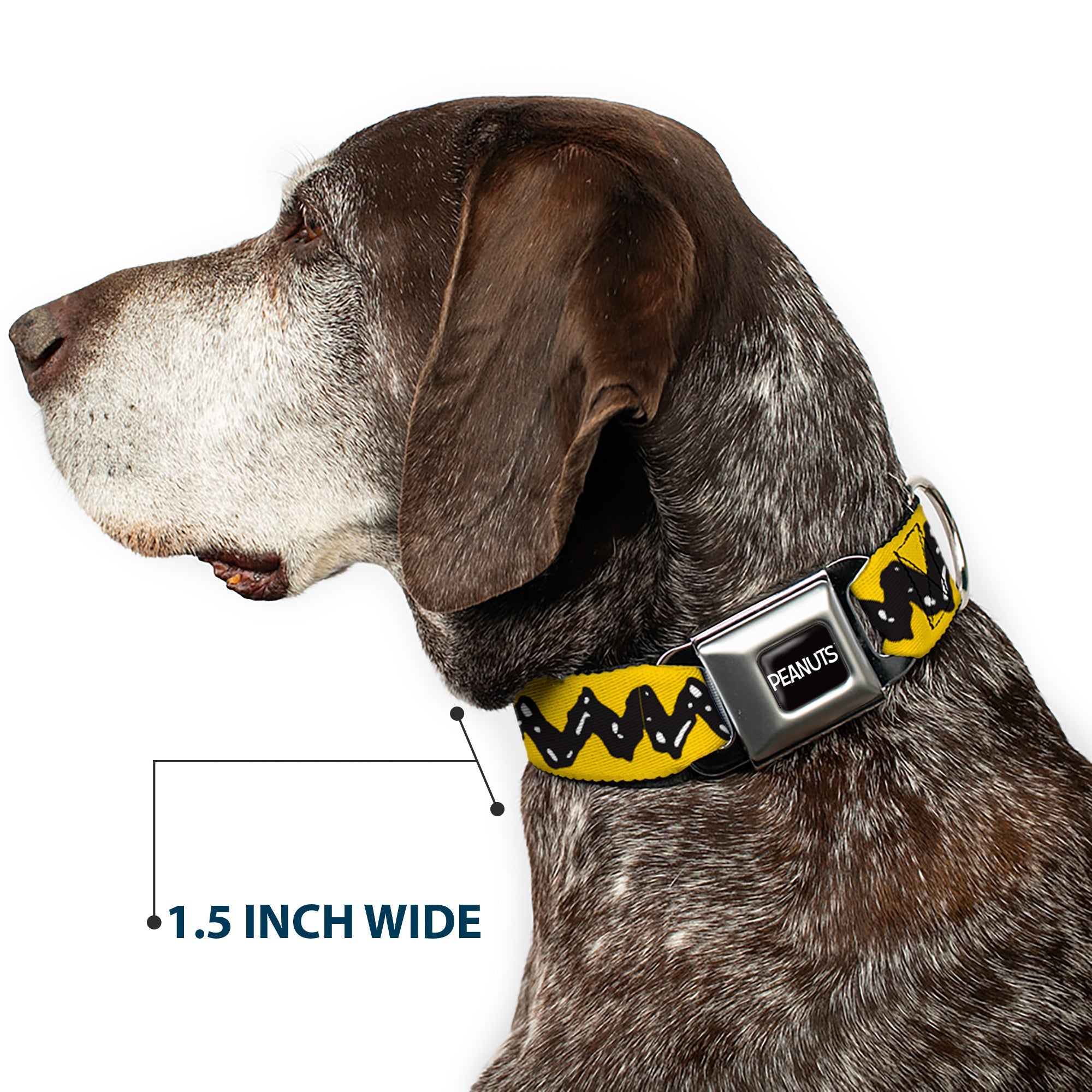 PEANUTS Title Logo Full Color Black/White Seatbelt Buckle Collar - Peanuts Charlie Brown Zig Zag Stripe Yellow/Black