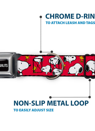 PEANUTS Title Logo Full Color Black/White Seatbelt Buckle Collar - Peanuts Snoopy and Woodstock Poses Scattered Red