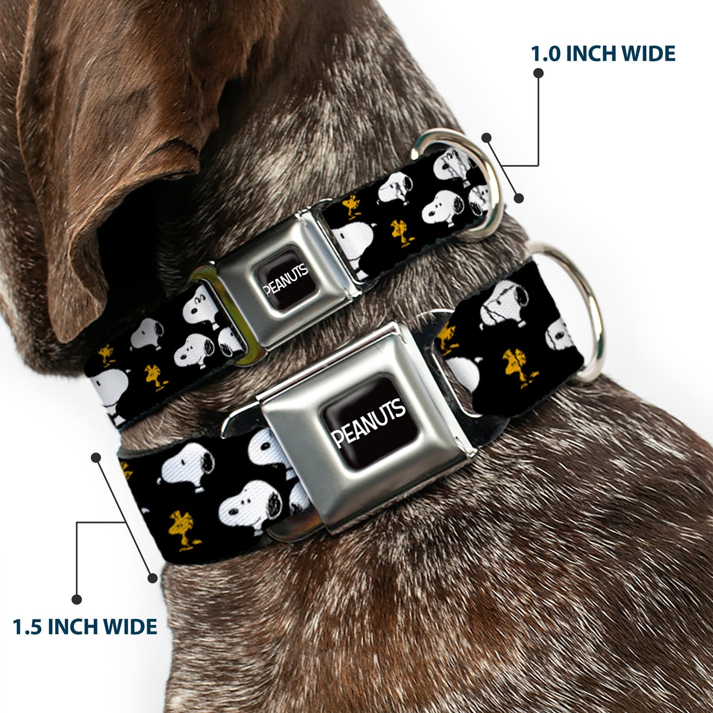 PEANUTS Title Logo Full Color Black/White Seatbelt Buckle Collar - Peanuts Snoopy and Woodstock Poses Scattered Black